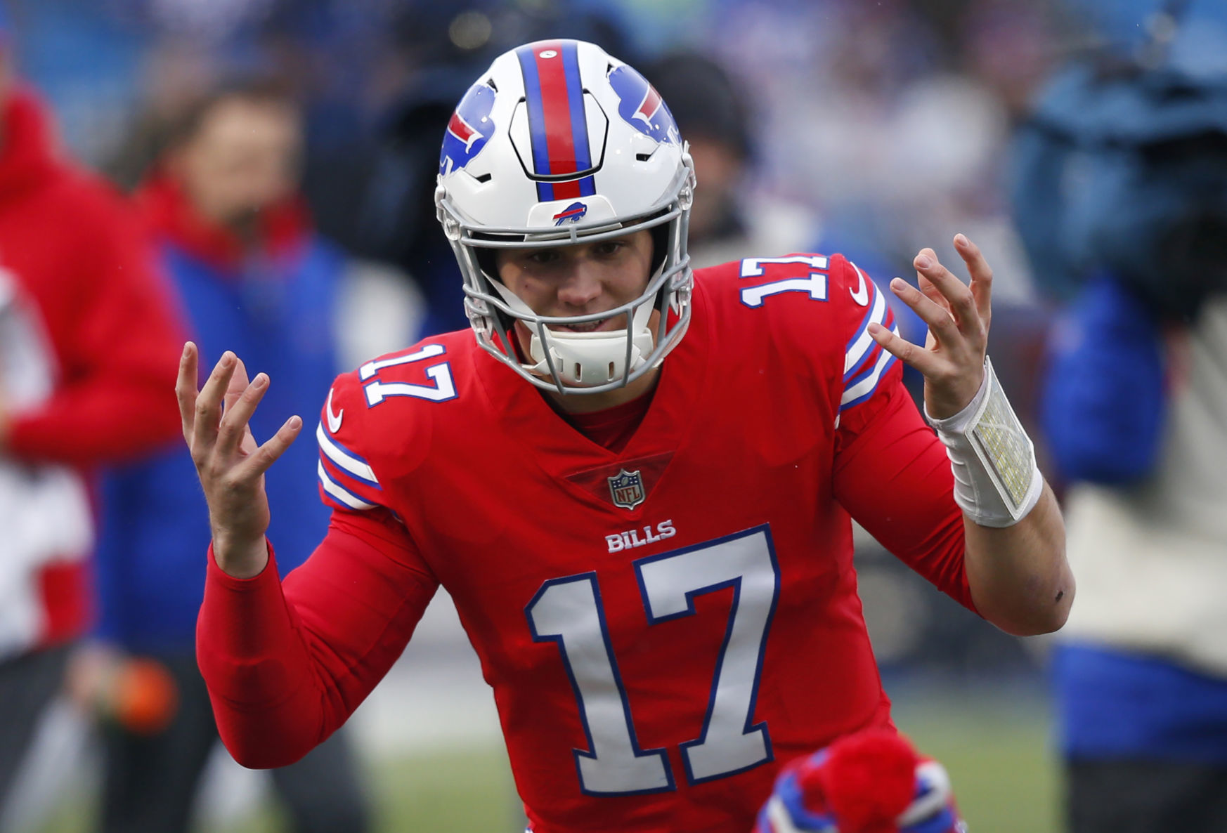 Lions Bills Football
